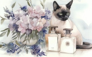 Kissa ja parfyymit