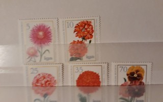 DDR 1975 - Kukkia (5/6)  ++