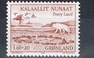 Grönlanti 1981 - Peary Land