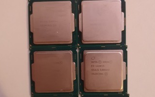 Xeon E3-1220V5  6kpl