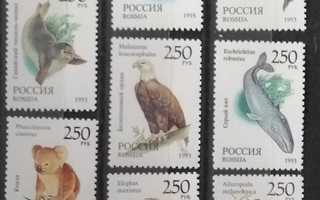 Venäjä 1993 Eläimiä ++