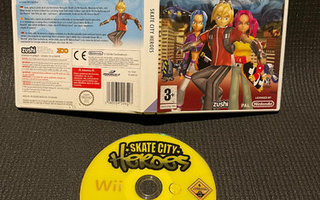 Skate City Heroes Wii