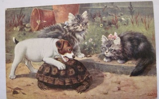 VANHA Postikortti Koira Kissat Kilpikona ym 1900-l Oilette