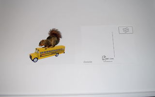 postikortti orava ja bussi