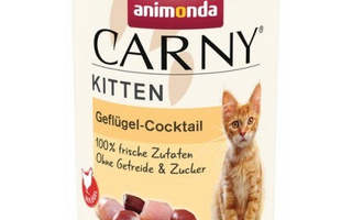 ANIMONDA Cat Carny Kitten Cocktail siipikarjalla