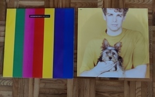 Pet Shop Boys Introspective   LP