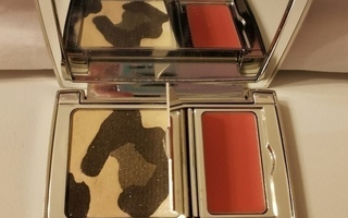 Dior Eye Shadow & Lip Gloss