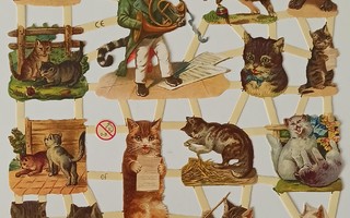 Kiiltokuva-arkki EF kissat