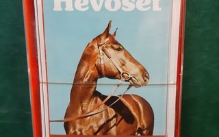 Hevoset pelikortit Uudet