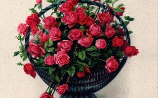 RUUSU / Tulipunaisia ruusuja tummassa korissa. 1920-l.
