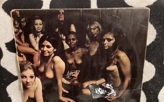 The Jimi Hendrix Experience – Electric Ladyland 2XLP