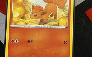 Vulpix (Korean)