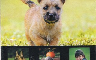 Dogs (for dummies)	(64 649)	UUSI	-FI-	slipcase,	DVD