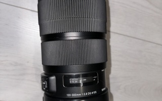 Sigma 120-300 f/2.8 DG OS HSM sports(Canon EF)