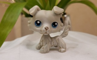 LPS Collie # 363