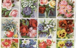 Kuvataiteen kiiltokuvasarja 2 - Wanha ARKKI - Kauniit kukat