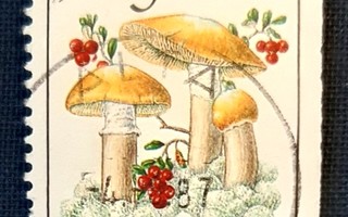 Norja 1987  Syötäviä sieniä - kehnäsieni, 2,70 kr  o