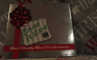 Brian Wilson  What I Really Want For Christmas