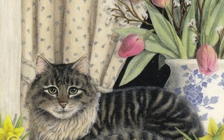 Jessica Börjesson: Harmaa kissa ja kevätkukat