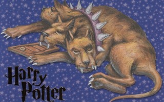 Harry Potter Kolmipäinen koira nukkuu