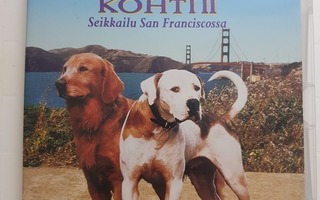 Kotia Kohti Seikkailu San Franciscossa DVD