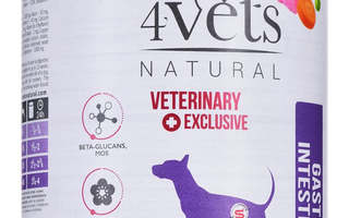 4VETS Natural Gastro Intestinal Dog - koiran märkäruoka - 