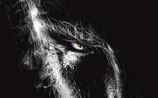 The Wolfman (DVD) (Käytetty) ALE! -40%