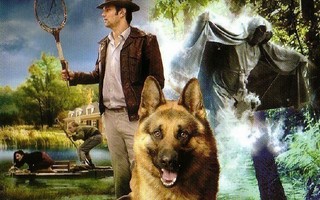dvd, Snuf de Hond - En de jacht op Vliegende Volckert (2008)