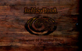 Indigoflood - Undertow of Peculiar Tales II (CD)