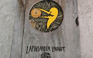 Lapinlahden Linnut Ehkä kaikki