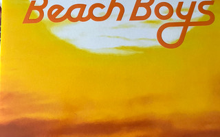 BEACH BOYS - SOUNDS OF SUMMER 2LP