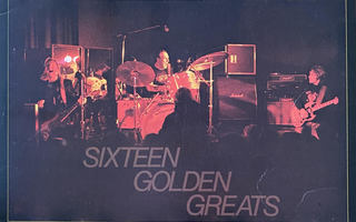 Hurriganes - Sixteen golden greats (Love records) lp