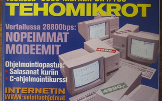 MikroBitti nro 10/1995
