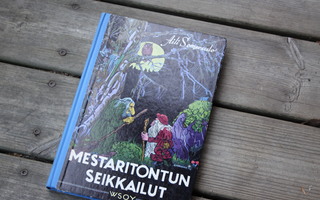 Aili Somersalo Mestaritontun seikkailut D3