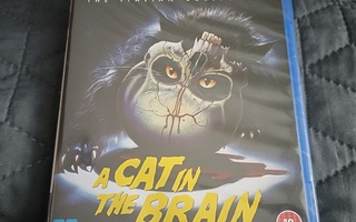 A Cat In The Brain Blu-Ray **muoveissa**