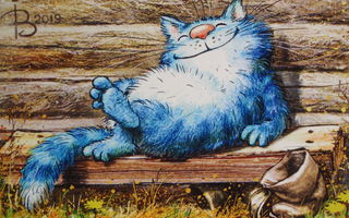 Irina Zeniuk sininen kissa nauttii päivänpaisteesta