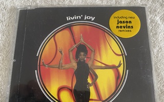 Livin’ Joy - Follow The Rules CDS