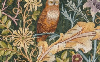 Pöllö, yksityiskohta seinävaatteesta (pieni taittokortti)