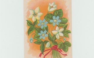 Orvo Sundelin : Kukkakimppu , valko- ja sinivuokot