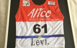 Pujottelun Maailman Cup  Levi 2004