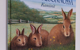 Sally Tagholm : Eläimiä luonnossa : kaniinit