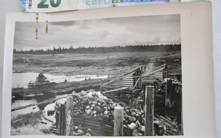 VANHA Sota Valokuva Panssarivaunu Ponttoonisilta ym 1941