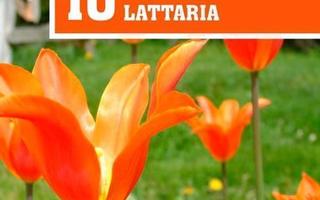 10 Suomalaista Lattaria - Eri Esittäjiä - CD