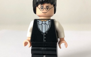 LEGO Harry Potter Minifiguuri (HP125)
