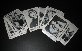 The Monkees yhtye , mustavalko kortteja