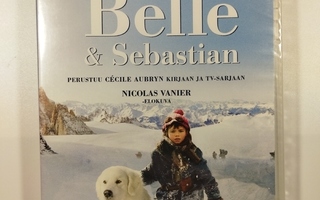 (SL) UUSI! DVD) BELLE & SEBASTIAN (2013)
