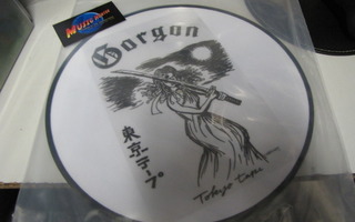 GORGON TOKYO TAPE KUVALEVY LP BRAZIL 2003 RARE SOITTAMATON?