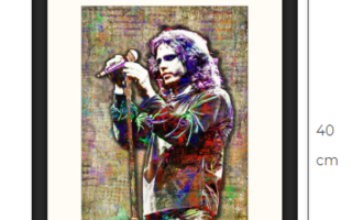 Jim Morrison The Doors taidetaulu kehystettynä