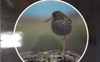Peterson Field Guide To The Bird Songs - Record 4 LP