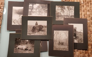 Suomalaisen seikkailijan valokuvat Afrikasta 1900-luvun alku